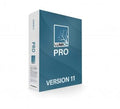 LUMION PRO 11 + Fast Delivery🔥 - MakaveliStore